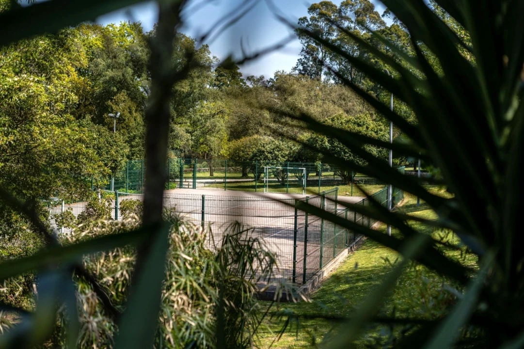 Apartamento T2 para Arrendamento em Mafamude e Vilar do Paraíso Foto 15