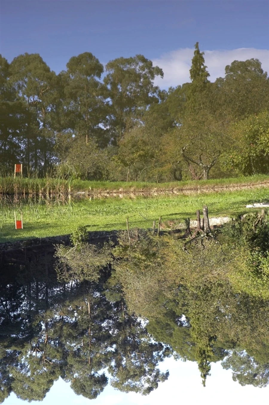 Apartamento T2 para Arrendamento em Mafamude e Vilar do Paraíso Foto 14