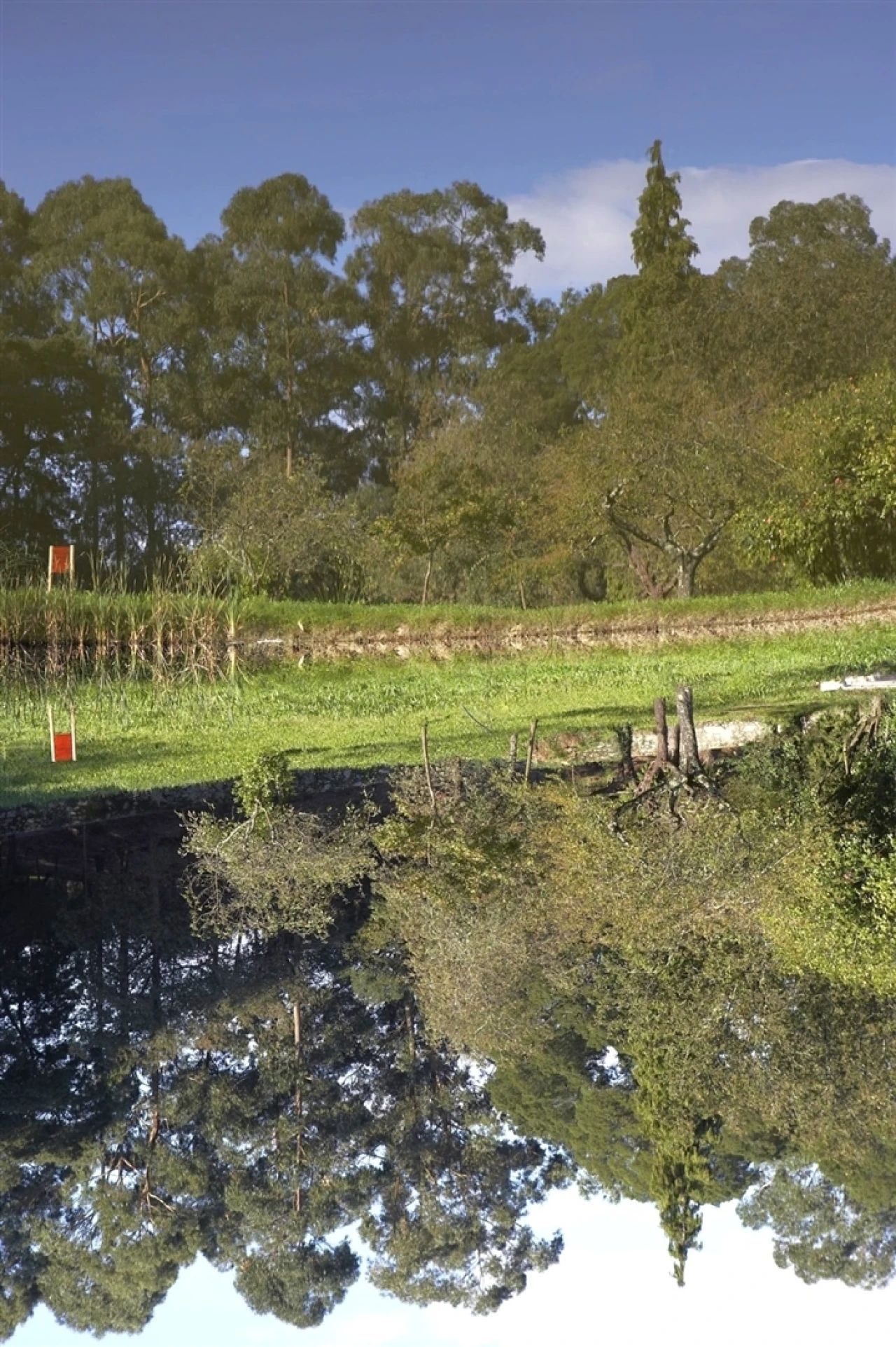 Apartamento T2 para Arrendamento em Mafamude e Vilar do Paraíso Foto 14