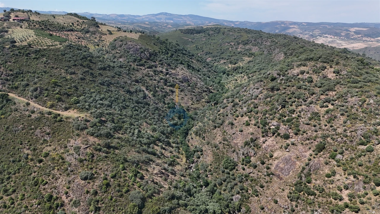 Quinta T0 para Venda em Alfandega da Fe Foto 1