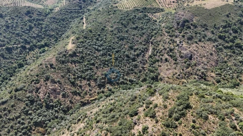 Quinta T0 para Venda em Alfandega da Fe