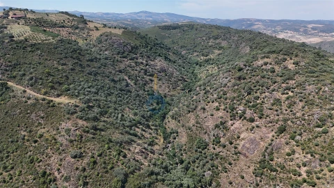 Quinta T0 para Venda em Alfandega da Fe