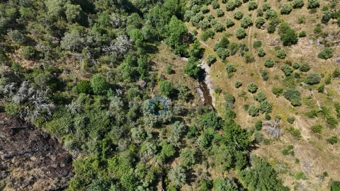 Quinta T0 para Venda em Alfandega da Fe