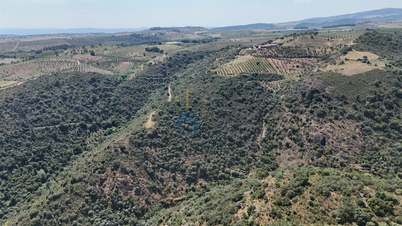 Quinta T0 para Venda em Alfandega da Fe Foto 12