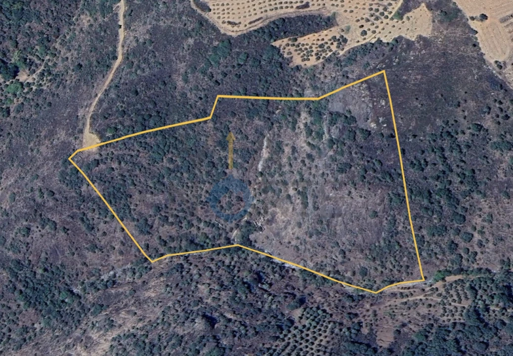 Quinta T0 para Venda em Alfandega da Fe Foto 1