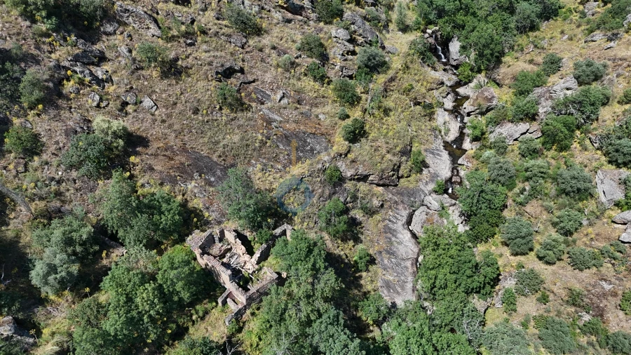 Quinta T0 para Venda em Alfandega da Fe Foto 8
