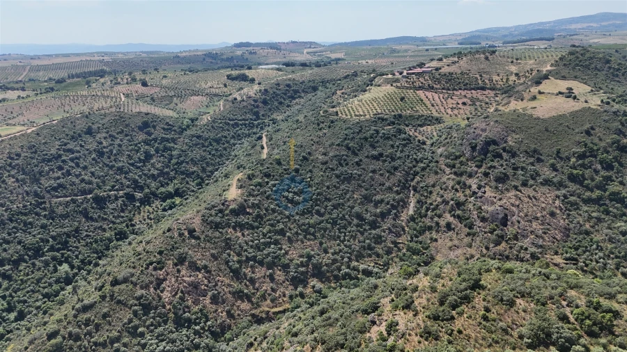 Quinta T0 para Venda em Alfandega da Fe Foto 12
