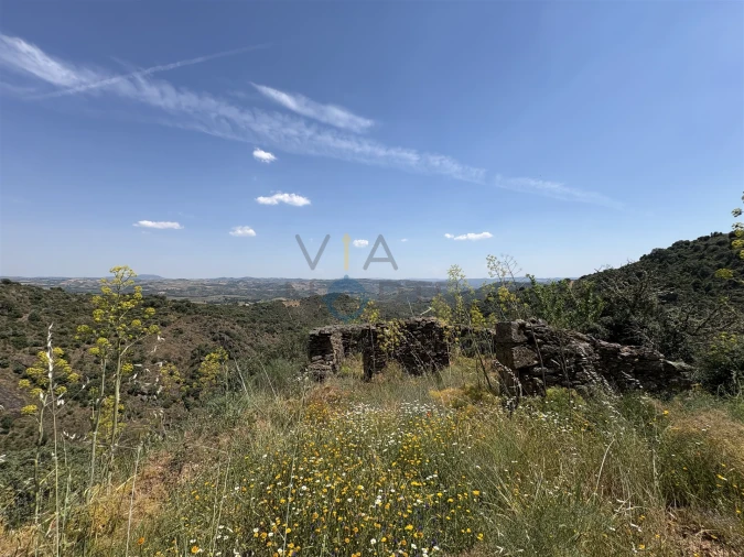 Quinta T0 para Venda em Alfandega da Fe Foto 16