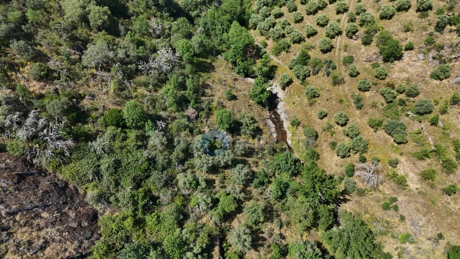 Quinta T0 para Venda em Alfandega da Fe Foto 10