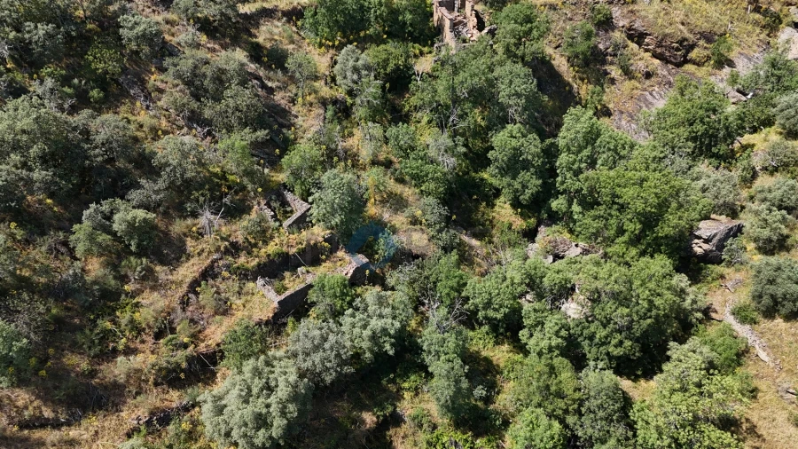 Quinta T0 para Venda em Alfandega da Fe Foto 5