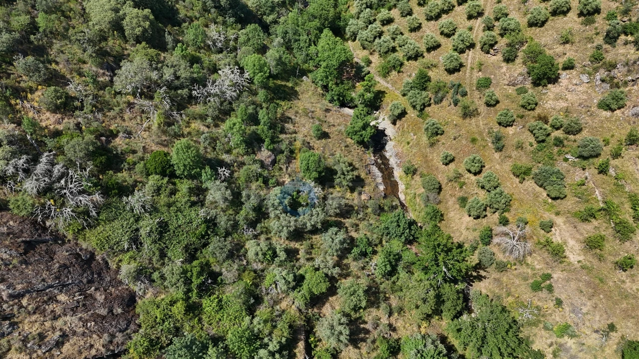 Quinta T0 para Venda em Alfandega da Fe Foto 10