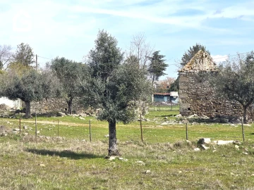 Terreno para Venda em Alcains