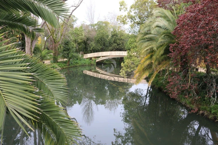 Apartamento T3 para Venda em Eixo e Eirol Foto 11