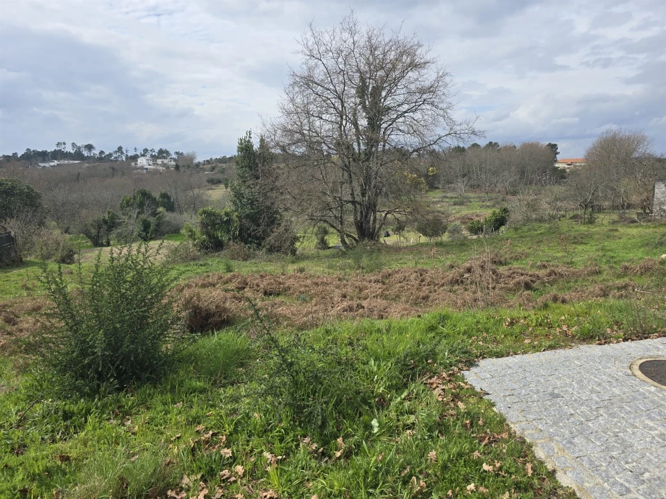 Terreno para Venda em Orgens Foto 1