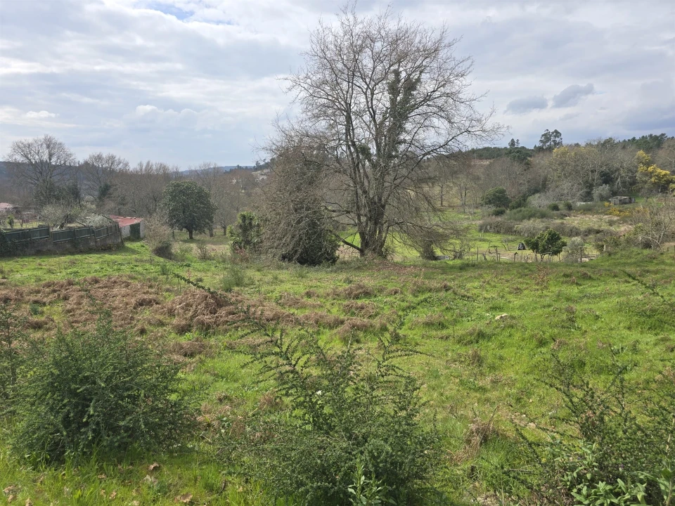 Terreno para Venda em Orgens Foto 2