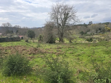 Terreno para Venda em Orgens