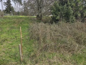Terreno para Venda em Orgens