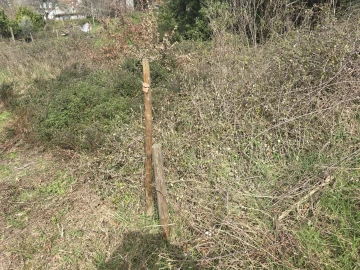 Terreno para Venda em Orgens