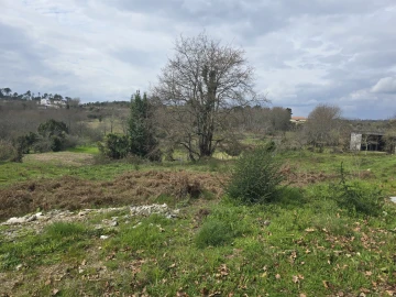 Terreno para Venda em Orgens
