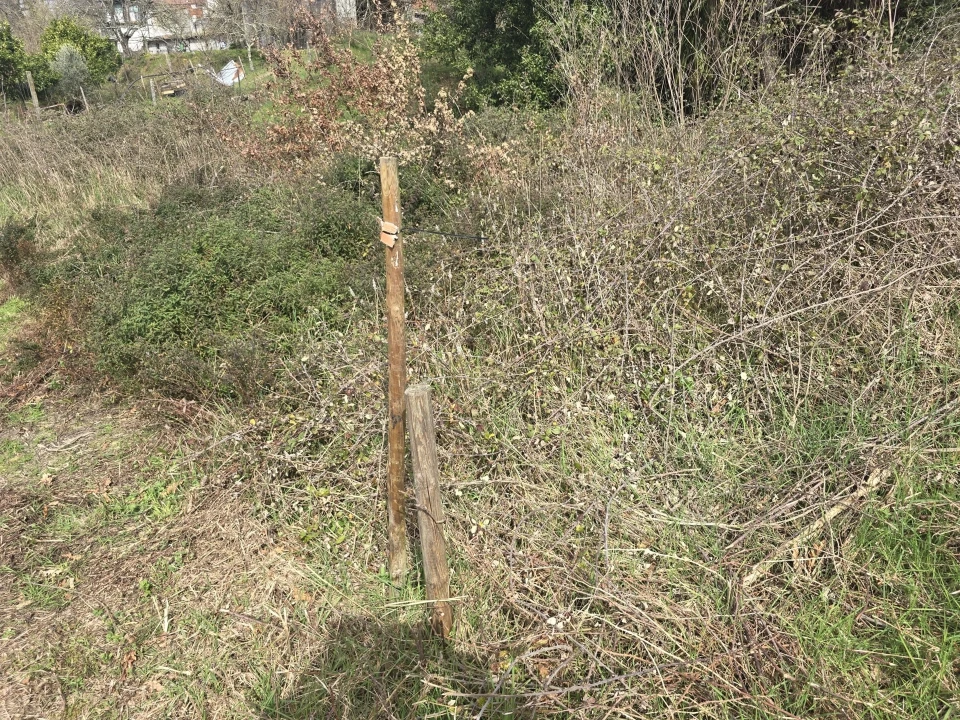 Terreno para Venda em Orgens Foto 5
