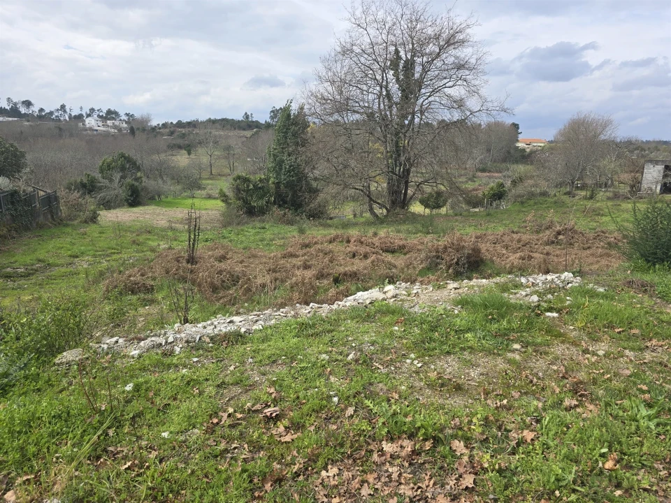 Terreno para Venda em Orgens Foto 4