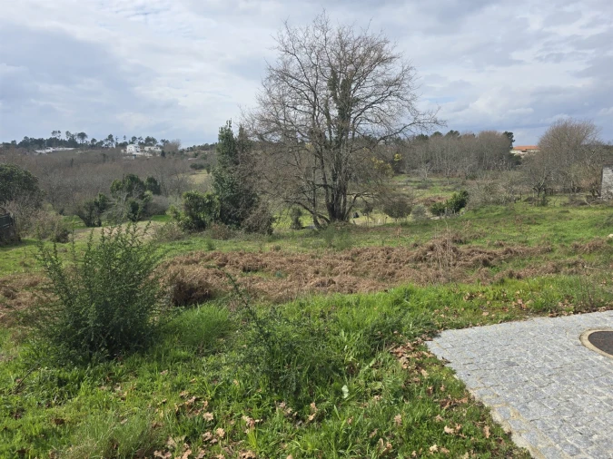 Terreno para Venda em Orgens