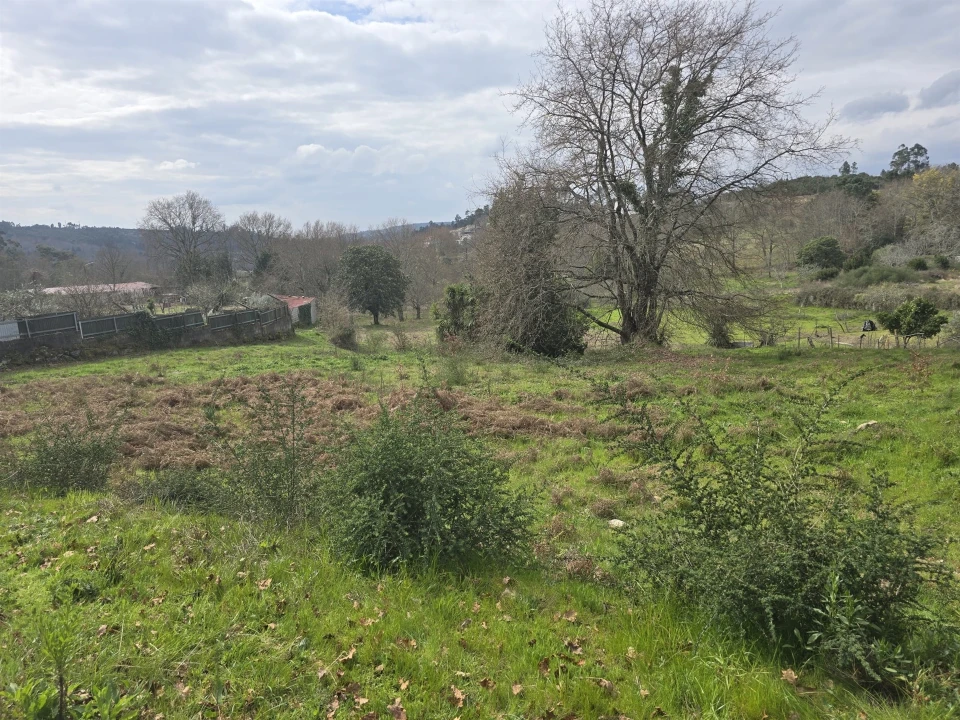 Terreno para Venda em Orgens Foto 3