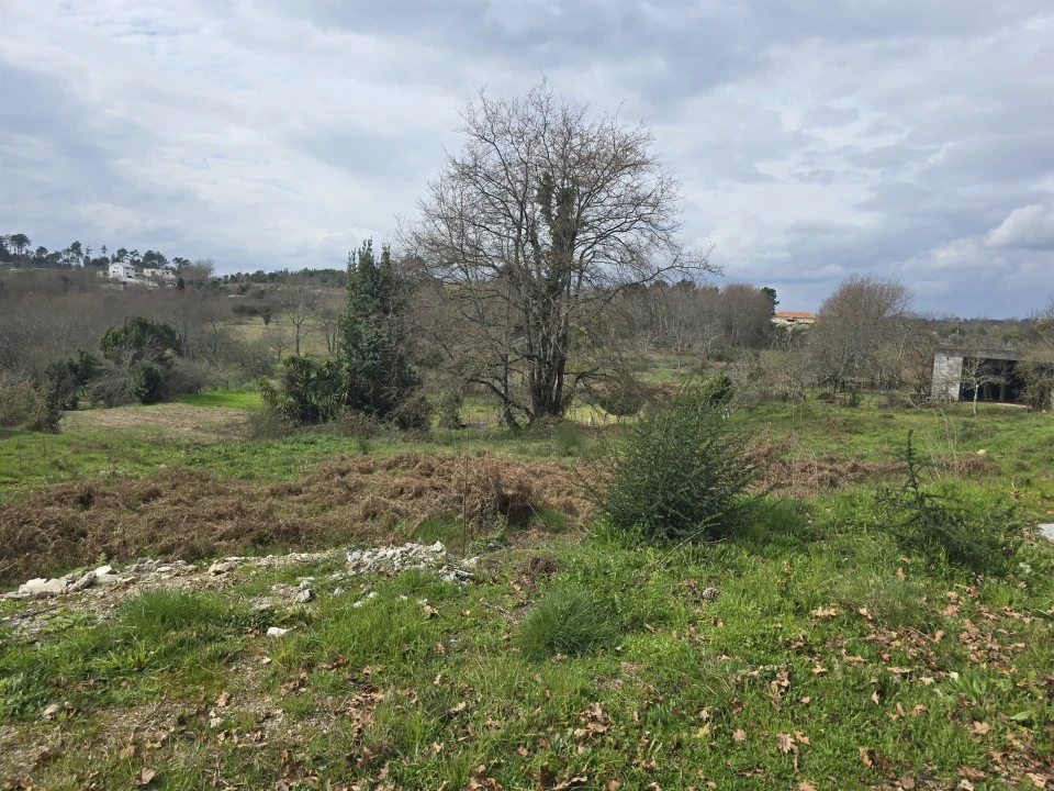 Terreno para Venda em Orgens Foto 6