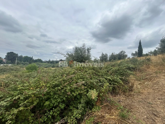 Terreno Agricola ou Rústico para Venda em Serra e Junceira Foto 1
