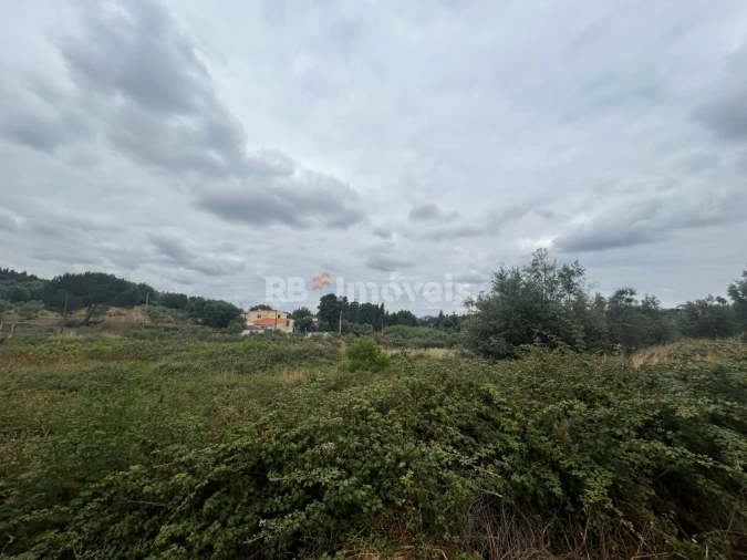Terreno Agricola ou Rústico para Venda em Serra e Junceira Foto 11