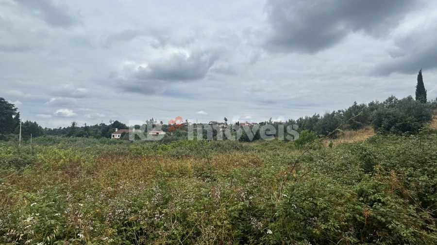 Terreno Agricola ou Rústico para Venda em Serra e Junceira