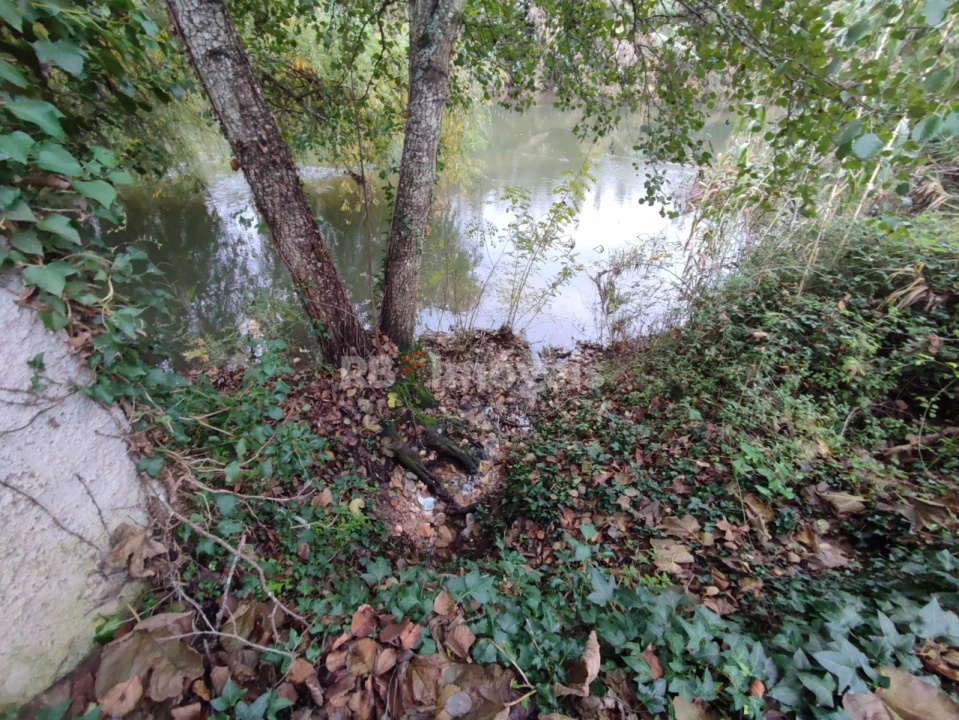 Terreno Agricola ou Rústico para Venda em Além da Ribeira e Pedreira Foto 16