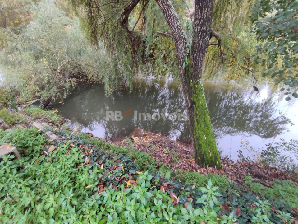 Terreno Agricola ou Rústico para Venda em Além da Ribeira e Pedreira Foto 7