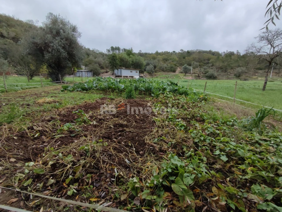 Terreno Agricola ou Rústico para Venda em Além da Ribeira e Pedreira Foto 21