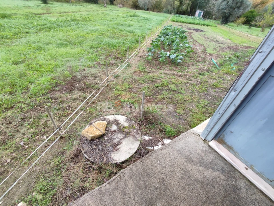 Terreno Agricola ou Rústico para Venda em Além da Ribeira e Pedreira Foto 22