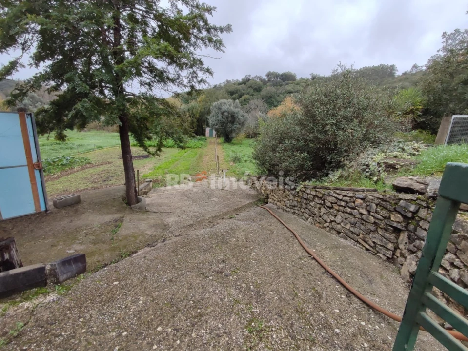 Terreno Agricola ou Rústico para Venda em Além da Ribeira e Pedreira Foto 8
