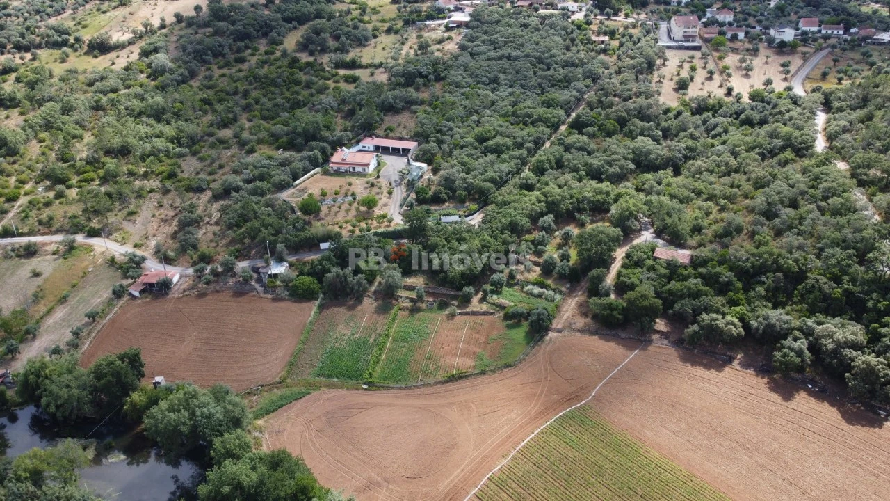 Terreno Agricola ou Rústico para Venda em Além da Ribeira e Pedreira Foto 33