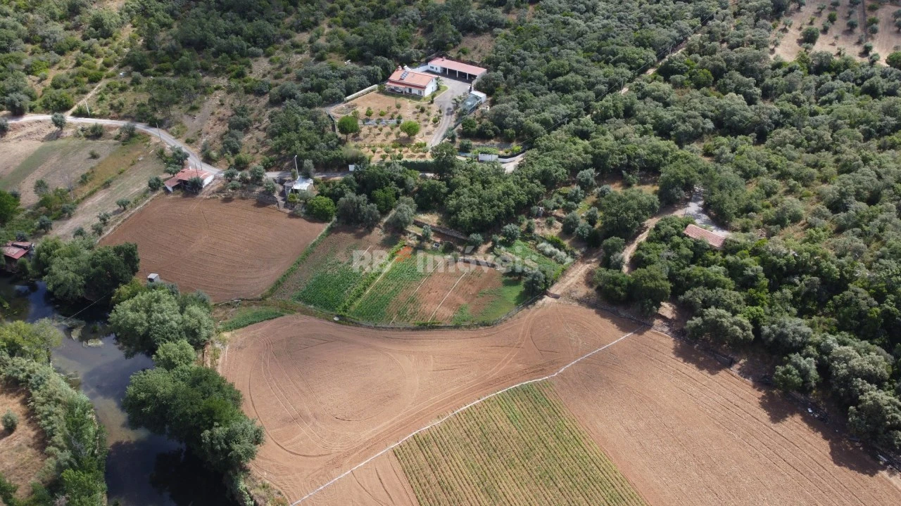 Terreno Agricola ou Rústico para Venda em Além da Ribeira e Pedreira Foto 31