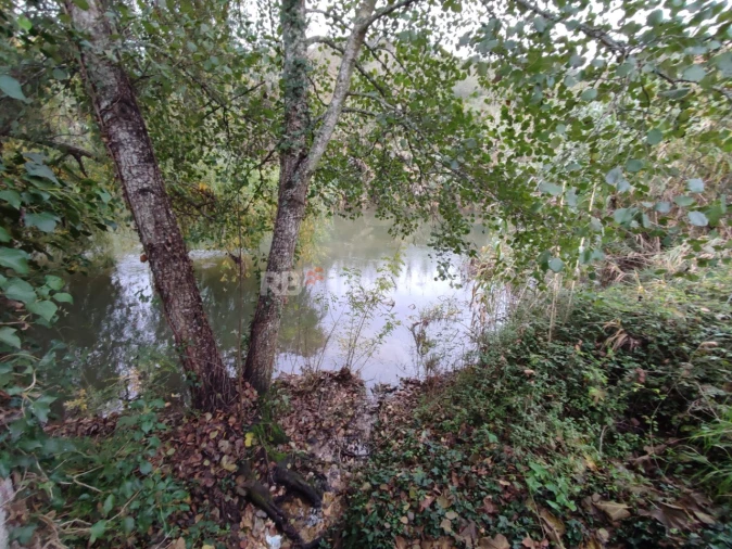 Terreno Agricola ou Rústico para Venda em Além da Ribeira e Pedreira Foto 2