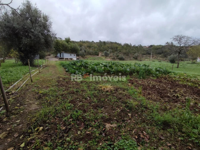 Terreno Agricola ou Rústico para Venda em Além da Ribeira e Pedreira Foto 15