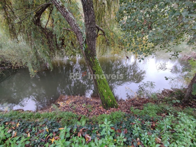 Terreno Agricola ou Rústico para Venda em Além da Ribeira e Pedreira Foto 17
