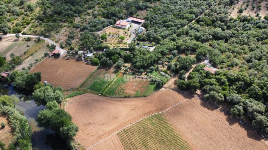 Terreno Agricola ou Rústico para Venda em Além da Ribeira e Pedreira Foto 32
