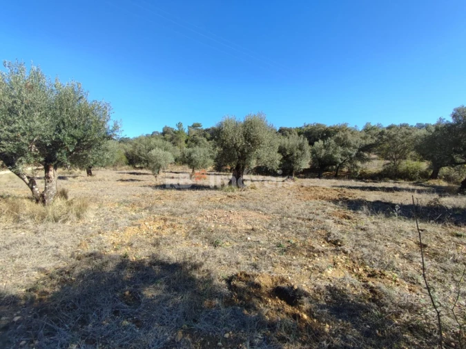 Terreno Agricola ou Rústico para Venda em Além da Ribeira e Pedreira