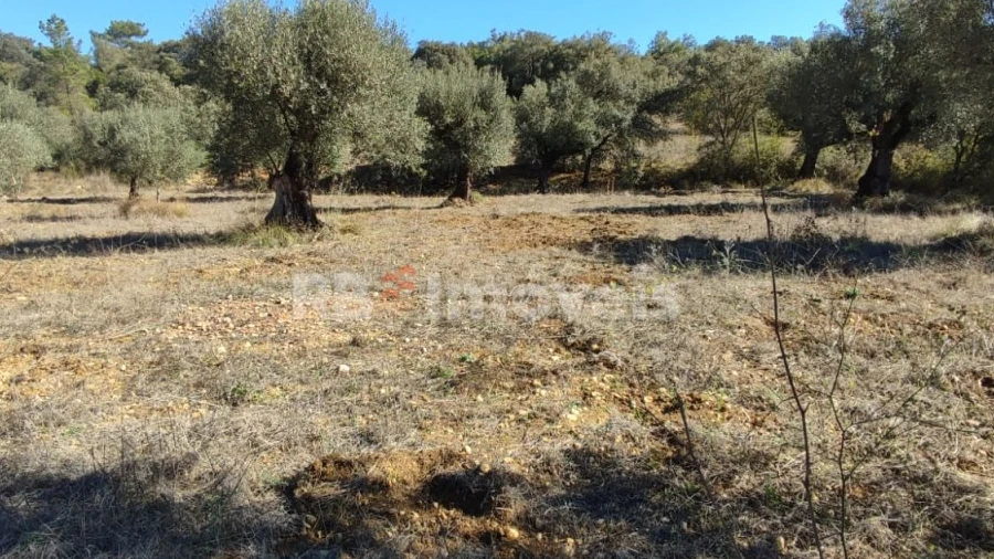 Terreno Agricola ou Rústico para Venda em Além da Ribeira e Pedreira