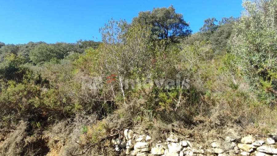 Terreno Agricola ou Rústico para Venda em Além da Ribeira e Pedreira