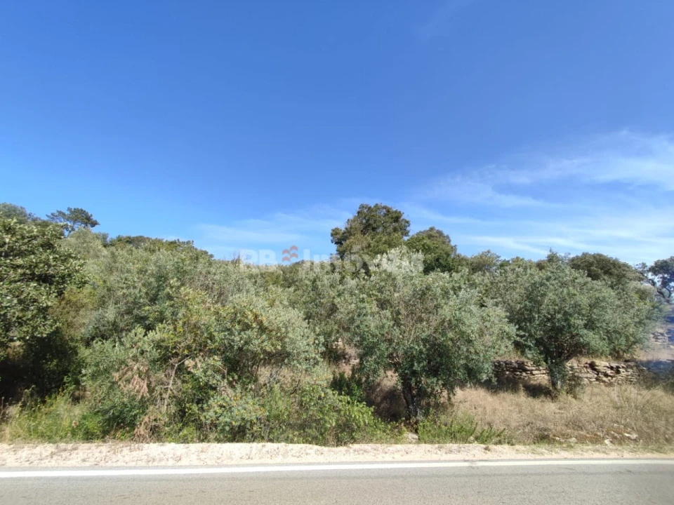 Terreno Agricola ou Rústico para Venda em Além da Ribeira e Pedreira Foto 2
