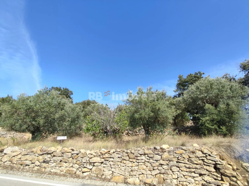 Terreno Agricola ou Rústico para Venda em Além da Ribeira e Pedreira Foto 4