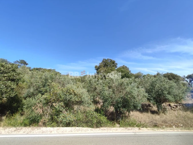 Terreno Agricola ou Rústico para Venda em Além da Ribeira e Pedreira Foto 2