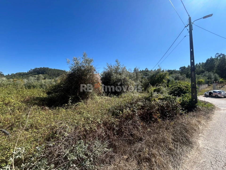 Terreno Agricola ou Rústico para Venda em Serra e Junceira Foto 7