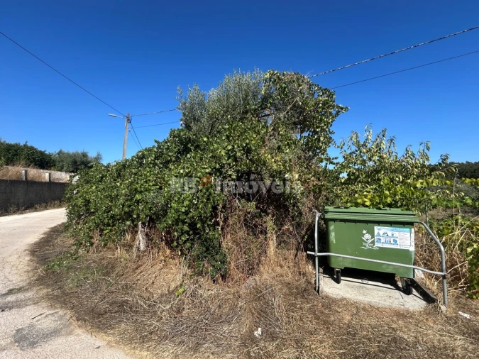 Terreno Agricola ou Rústico para Venda em Serra e Junceira Foto 3